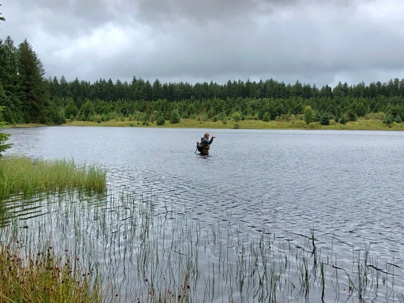 Llyn Berwyn - Lyn Davies